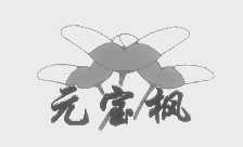 元宝枫