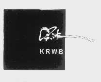 吴波   KRWB