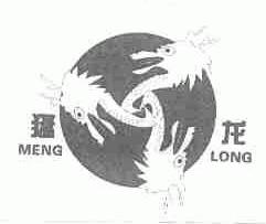 猛龙
