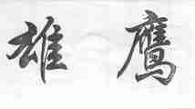 雄鹰