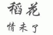 稻花情未了