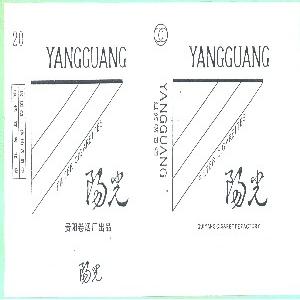 阳光