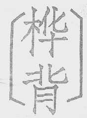 桦背