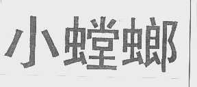 小螳螂