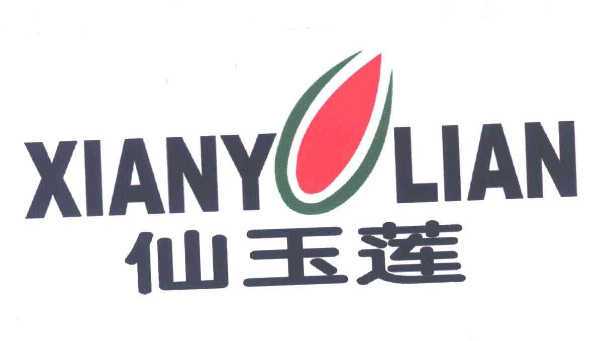 仙玉莲