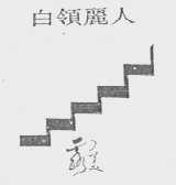 白领丽人露美