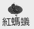 红蚂蚁
