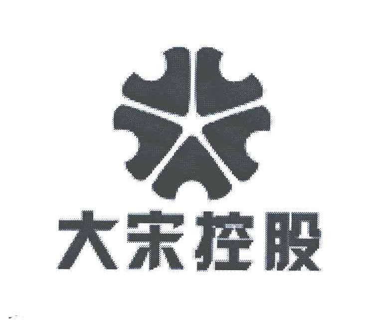 大宋控股