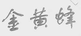 金黄蜂