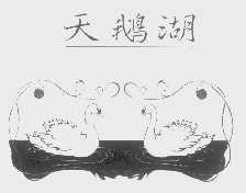 天鹅湖