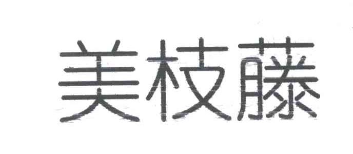 美枝藤