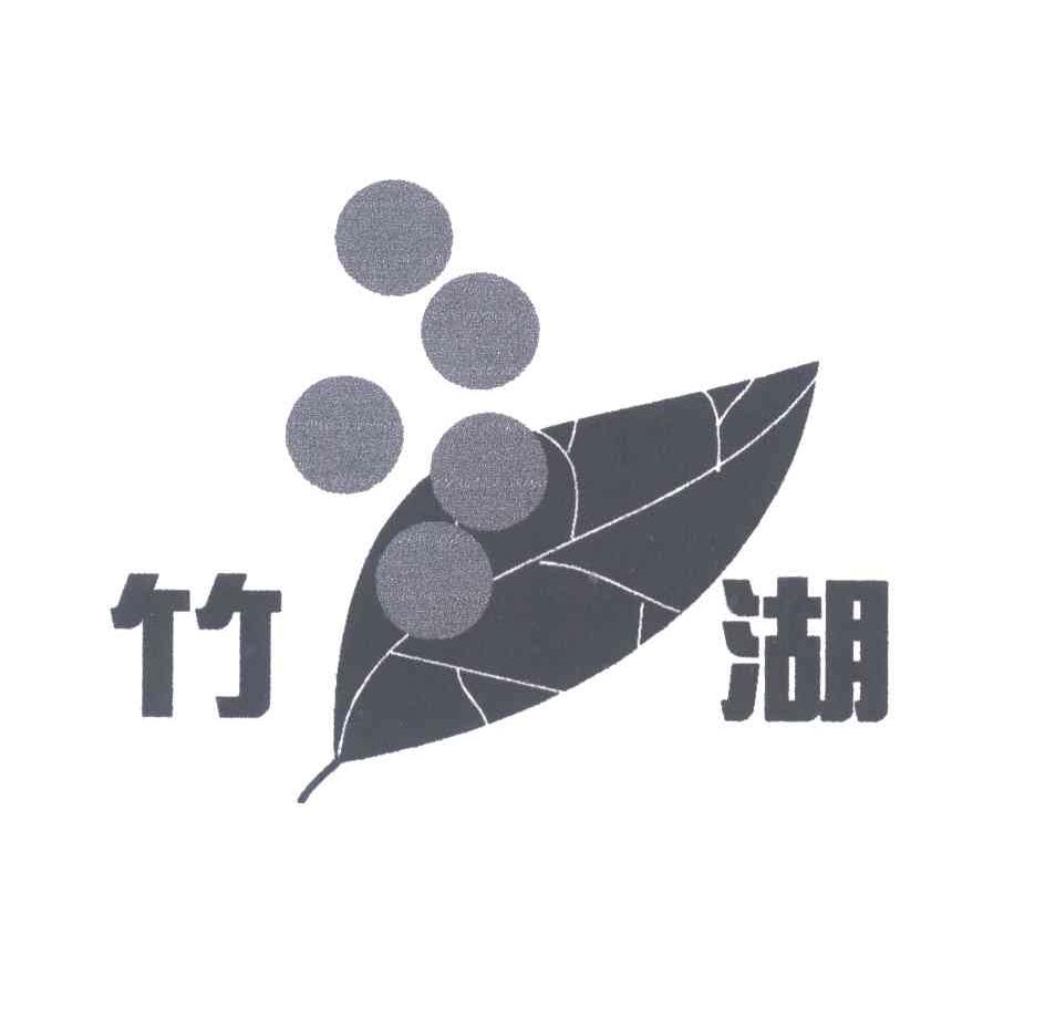 竹湖
