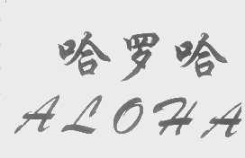 哈罗哈   ALOHA
