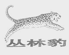 丛林豹