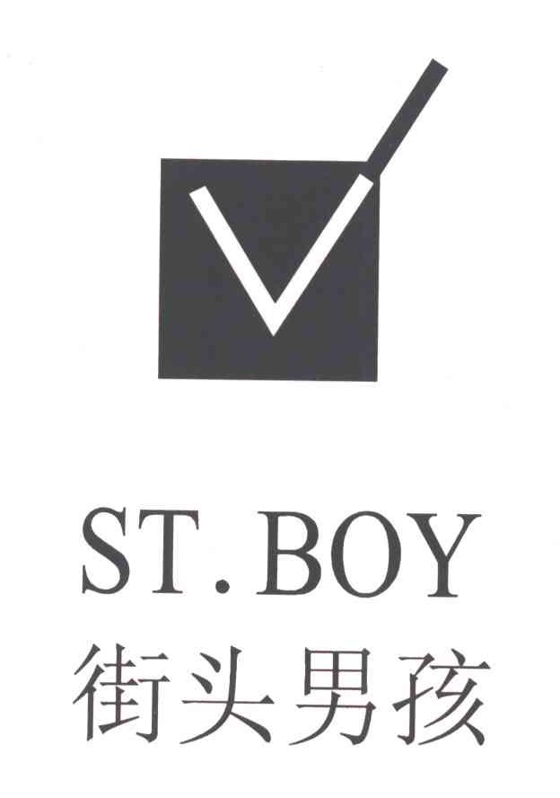 街头男孩;ST BOY