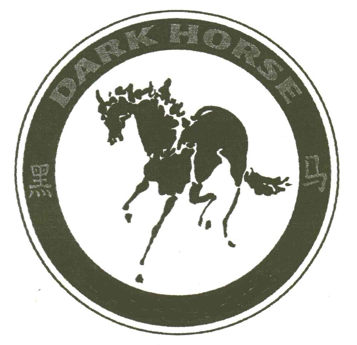 黑马;DARK HORSE