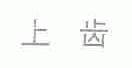 上齿