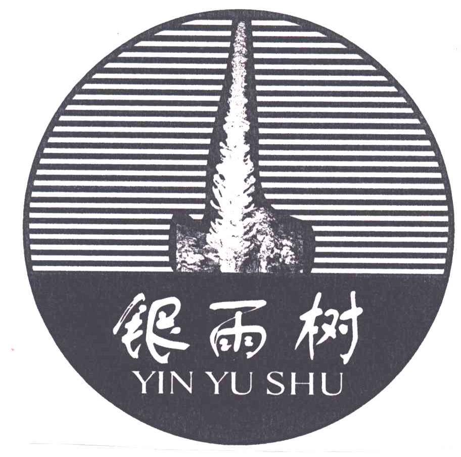 银雨树