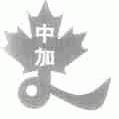 中加