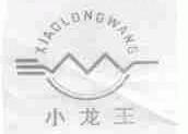小龙王