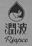 润波    RINPCO