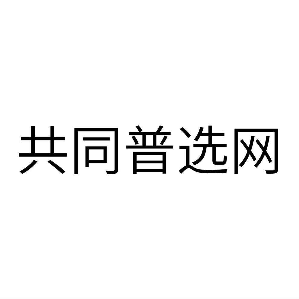 共同普选网
