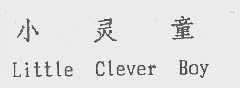 小灵童   LITTLE CLEVER BOY