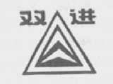 双进