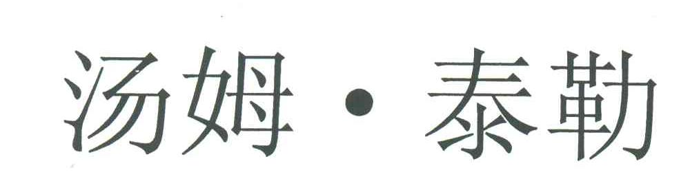 汤姆泰勒