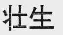 壮生