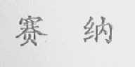 赛纳