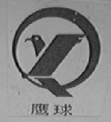 鹰球