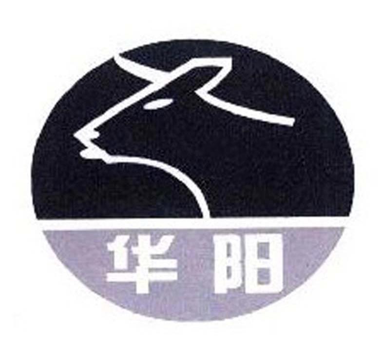 华阳