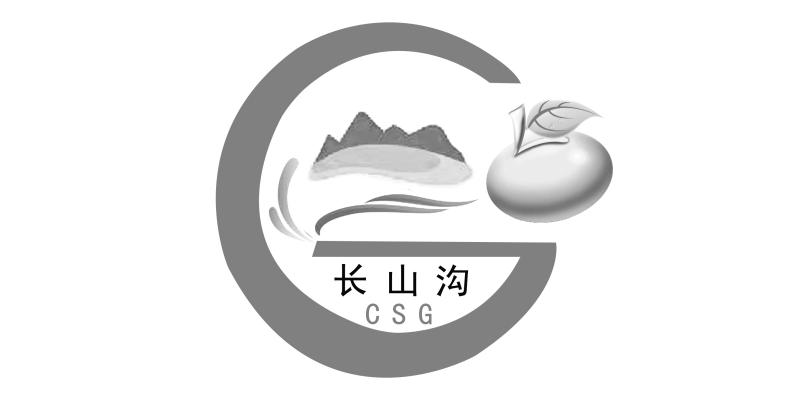 长山沟 CSG