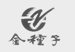 金种子