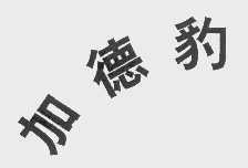 加德豹