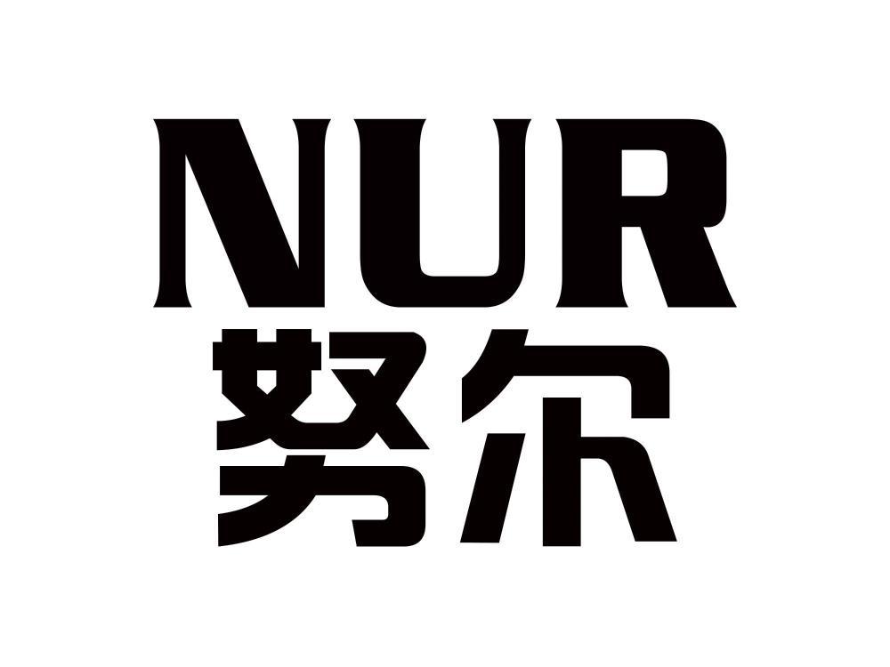 努尔 NUR