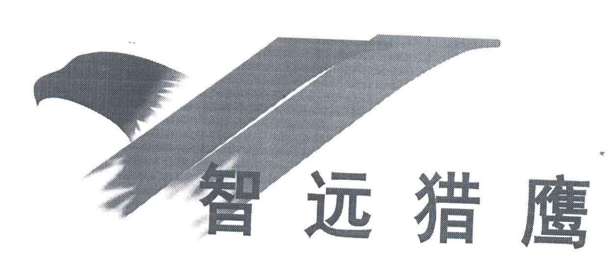 智远猎鹰