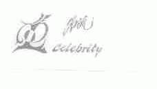 名流;CELEBRITY