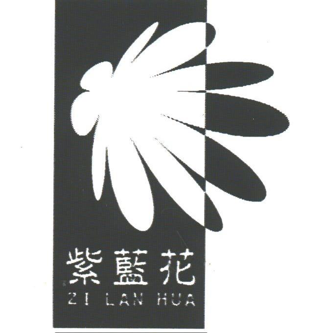 紫蓝花