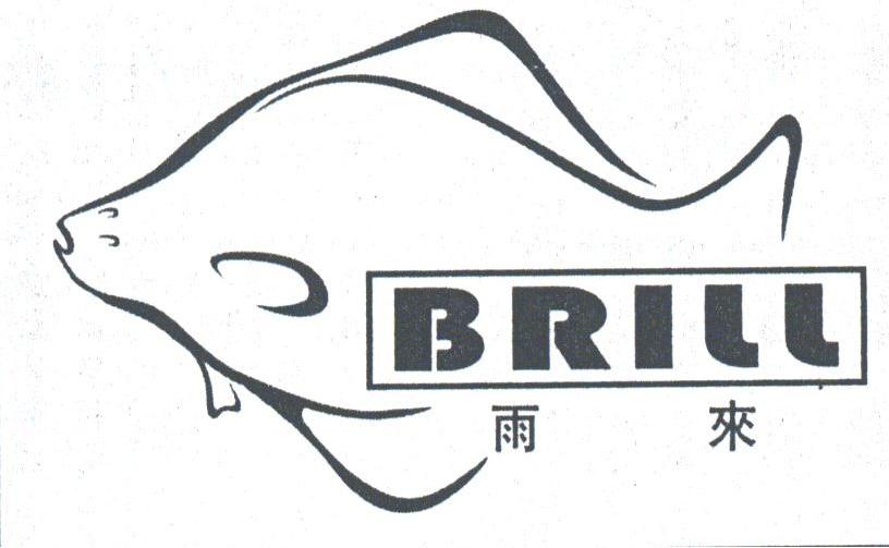 雨来;BRILL
