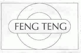 FENG TENG