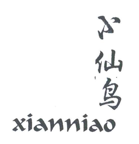 小仙鸟XIANNIAO