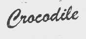 CROCODILE