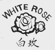 白玫