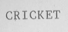 CRICKET