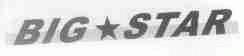 BIG STAR