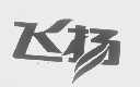 飞扬