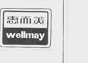 惠而美  WELLMAY