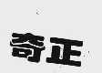 奇飞
